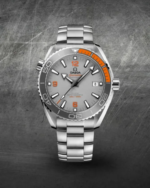 Omegg_a Seamaster Planet Ocean 600M silver gray