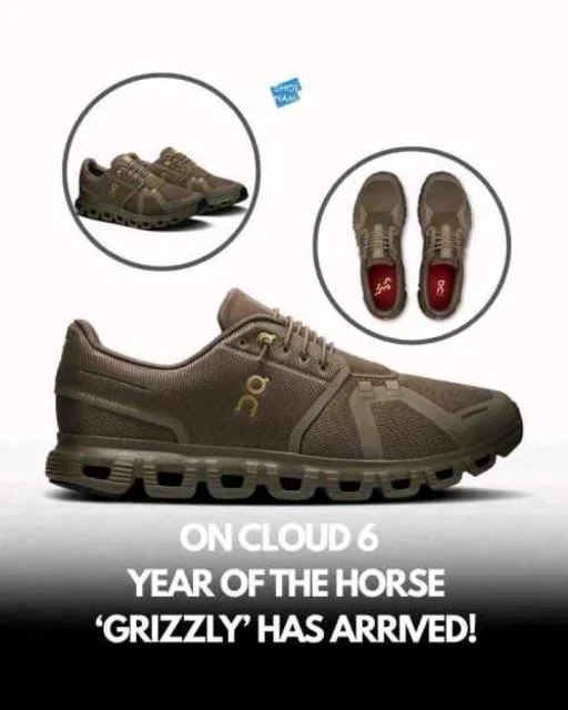 On Cloud 6 Year Of The Horse Grizzly Grizzly 2540