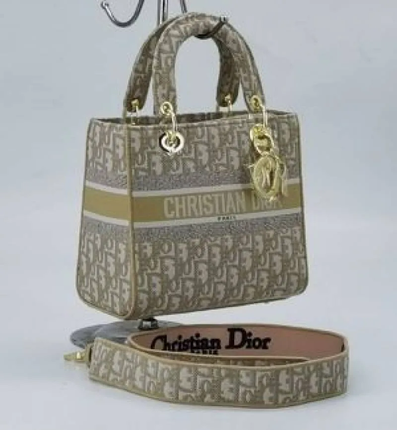 Christian_DIYOR_LADY_BAG_WITH_BRAND-BOX_GRY_CARRY_BAG_6753